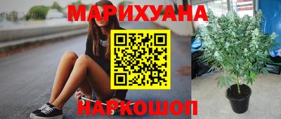 тгк Камышлов