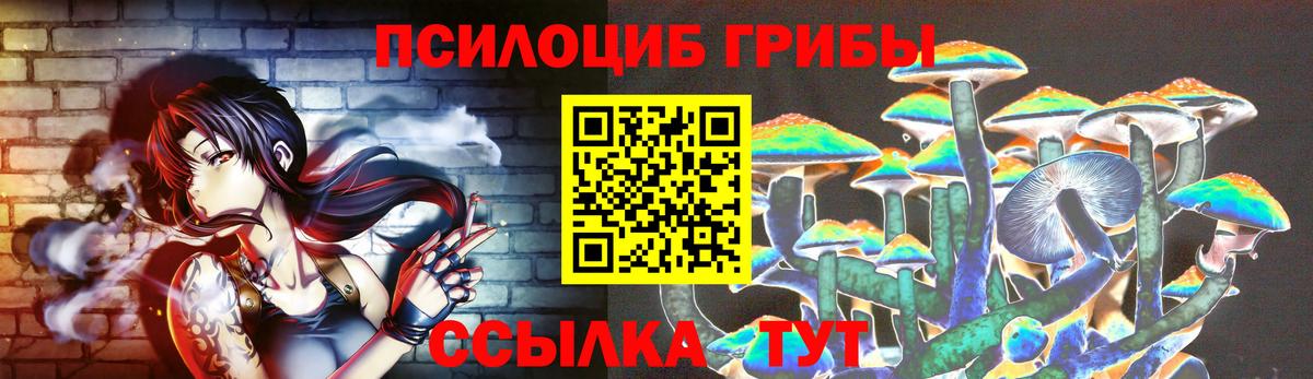 Майский  Псилоцибиновые грибы прущие грибы  Псилоцибиновые грибы Psilocybe  Вход с VPN 